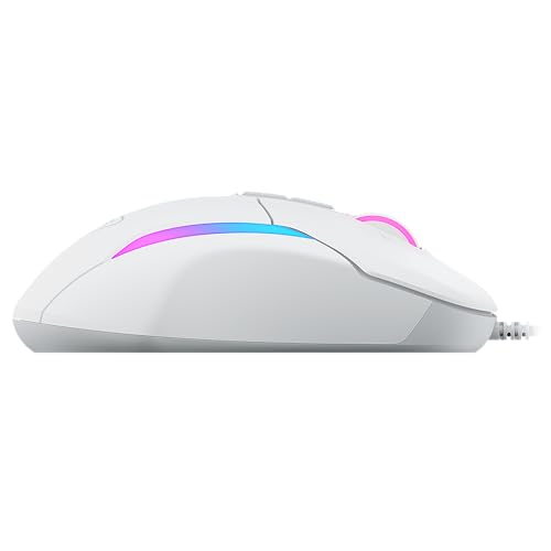 Turtle Beach Kone II Air – Kabellose, ergonomische RGB-Gaming-Maus, 350-Stunden-Akku, optischer 26K DPI Sensor, 21 programmierbare Funktionen, 4D-Free-Spin-Scroll-Rad, Schwarz
