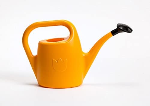 Plastia Gartengießkanne mit dem Brausekopf, 2L - Gießkanne aus Hochwertigem Kunststoff - Handliche Giesskanne für Innen- und Außenbereich - Ideal für Bewässerung für Zimmerpflanzen (Anthrazit)