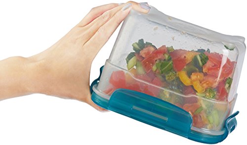 Amazon Basics Gefrierbehälter im Set, mit Deckel, luftdicht, auslaufsicher, stapelbar, für Kühlschrank/Gefriertruhe, BPA-frei, Kunststoff, mikrowellen- und spülmaschinenfest, 6 Stück 1er-Pack, farblos