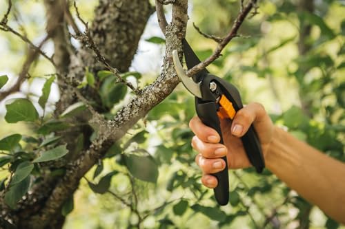 Fiskars Bypass-Gartenschere für frische Äste und Zweige, Antihaftbeschichtet, Hochwertige Stahl-Klingen, Länge: 20 cm, Schwarz/Orange, SingleStep