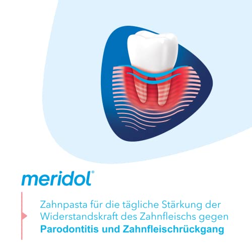 meridol Zahnpasta Parodont Expert 75 ml - Zahncreme wirkt antibakteriell und unterstützt so den natürlichen Heilungsprozess des Zahnfleisch