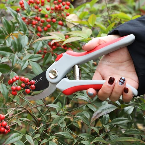 Jütze® Gartenschere für Sträucher und Blumen mit Rutschfester Griff & Edelstahl-Klinge, Leicht & Ergonomisch Rosenschere, Sicher mit Klingensperre, Beidhändig bedienbar, Länge 19cm