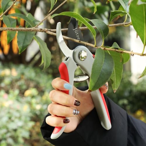 Jütze® Gartenschere für Sträucher und Blumen mit Rutschfester Griff & Edelstahl-Klinge, Leicht & Ergonomisch Rosenschere, Sicher mit Klingensperre, Beidhändig bedienbar, Länge 19cm