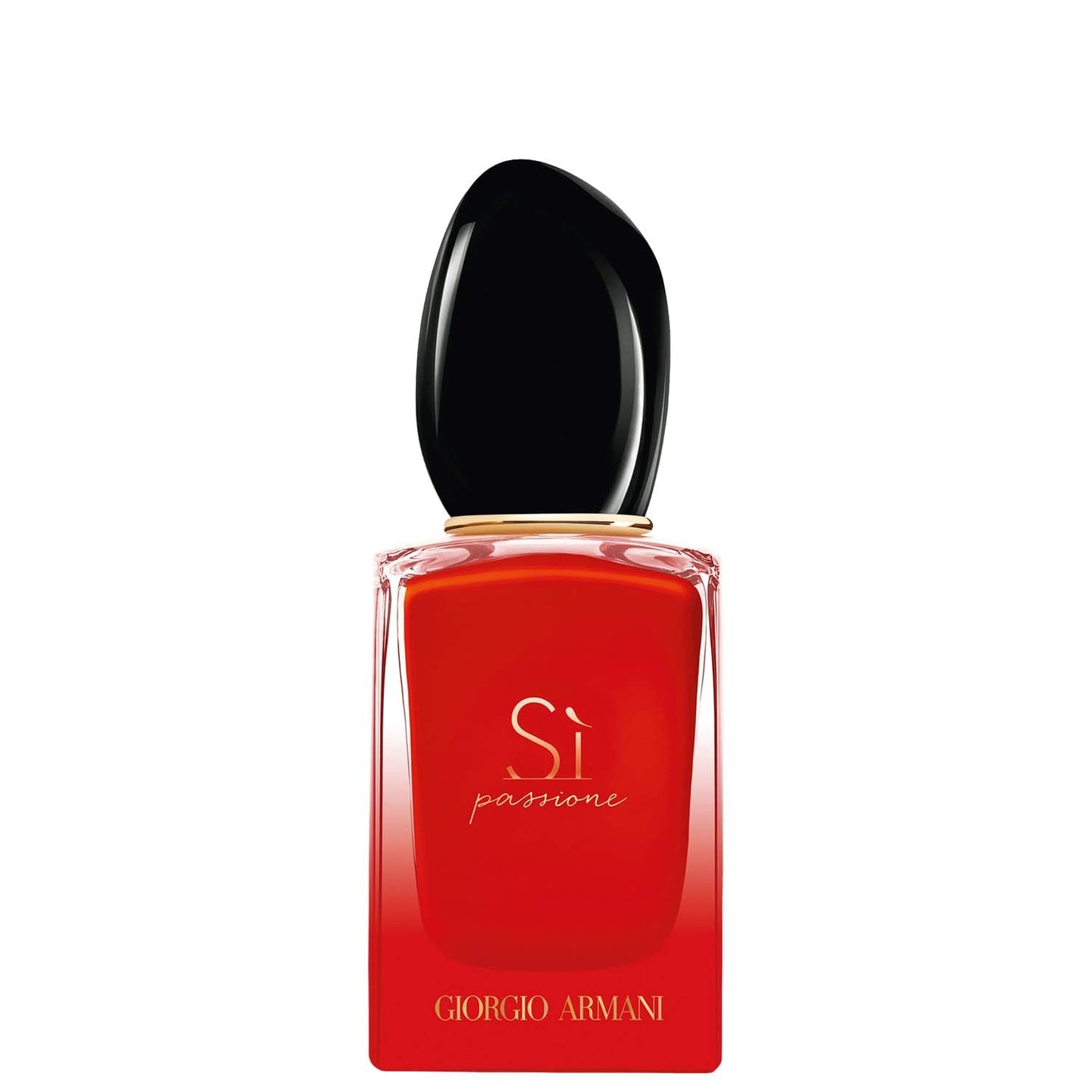 Giorgio Armani Unisex Passione Intense VAPORIZADOR SI Leidenschaft INTENSIV EAU DE Parfum 100 ml Vaporizer, Negro, Nur Nicht zutreffend