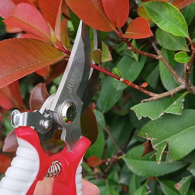 Jütze® Gartenschere für Sträucher und Blumen mit Rutschfester Griff & Edelstahl-Klinge, Leicht & Ergonomisch Rosenschere, Sicher mit Klingensperre, Beidhändig bedienbar, Länge 19cm