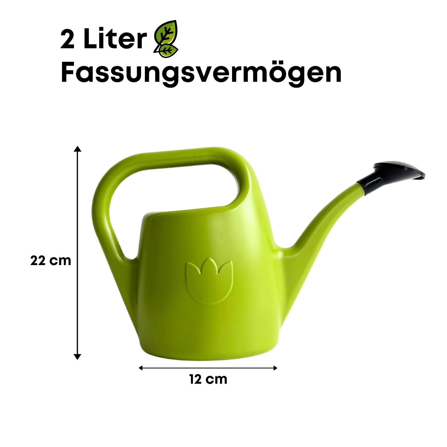 Plastia Gartengießkanne mit dem Brausekopf, 2L - Gießkanne aus Hochwertigem Kunststoff - Handliche Giesskanne für Innen- und Außenbereich - Ideal für Bewässerung für Zimmerpflanzen (Anthrazit)