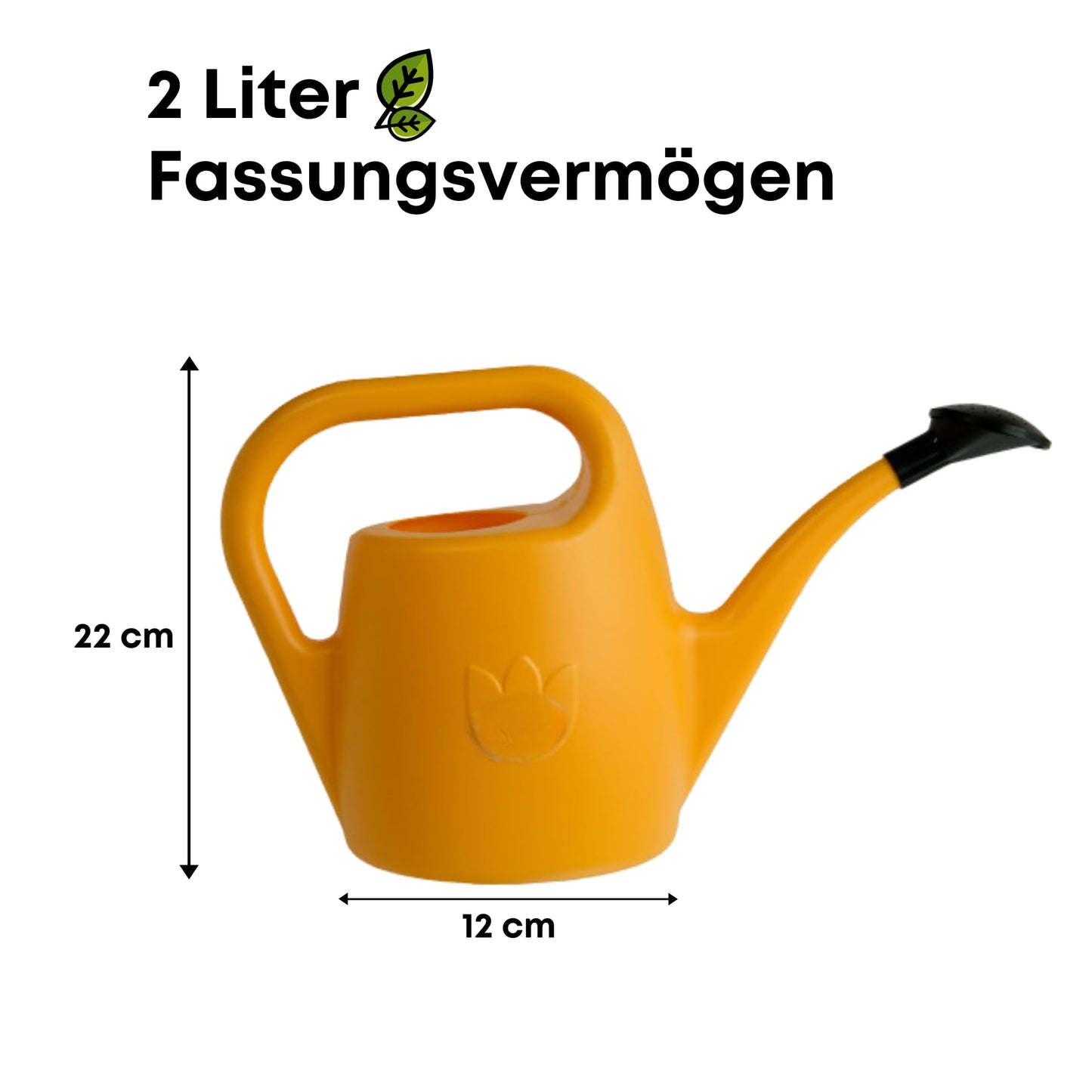 Plastia Gartengießkanne mit dem Brausekopf, 2L - Gießkanne aus Hochwertigem Kunststoff - Handliche Giesskanne für Innen- und Außenbereich - Ideal für Bewässerung für Zimmerpflanzen (Anthrazit)