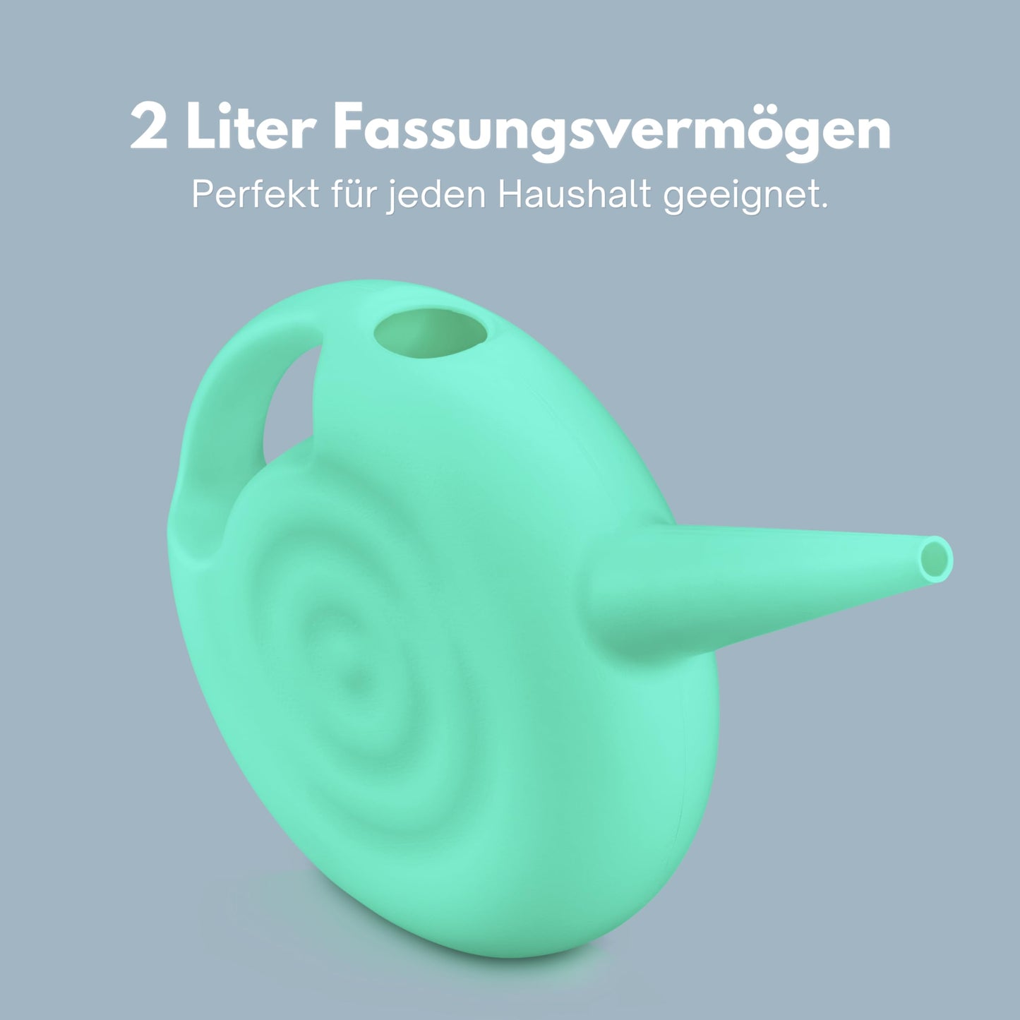 Blowmold.Design Gießkanne in Schwarz – 2 Liter Giesskanne Robust für Innen und Außen - Perfekt für Zimmerpflanzen & Garten