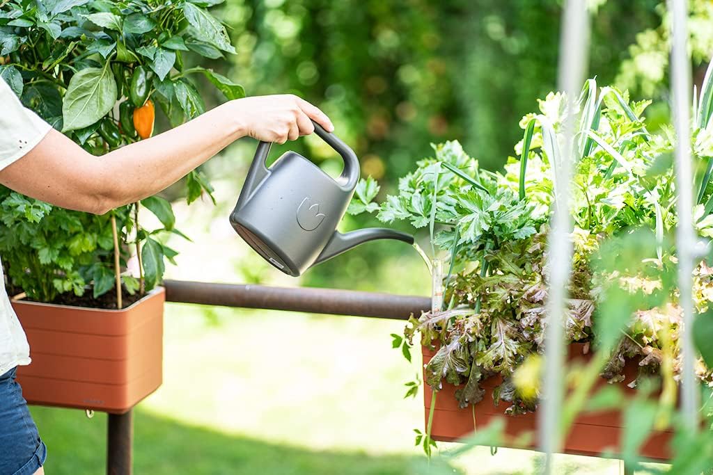Plastia Gartengießkanne mit dem Brausekopf, 2L - Gießkanne aus Hochwertigem Kunststoff - Handliche Giesskanne für Innen- und Außenbereich - Ideal für Bewässerung für Zimmerpflanzen (Anthrazit)