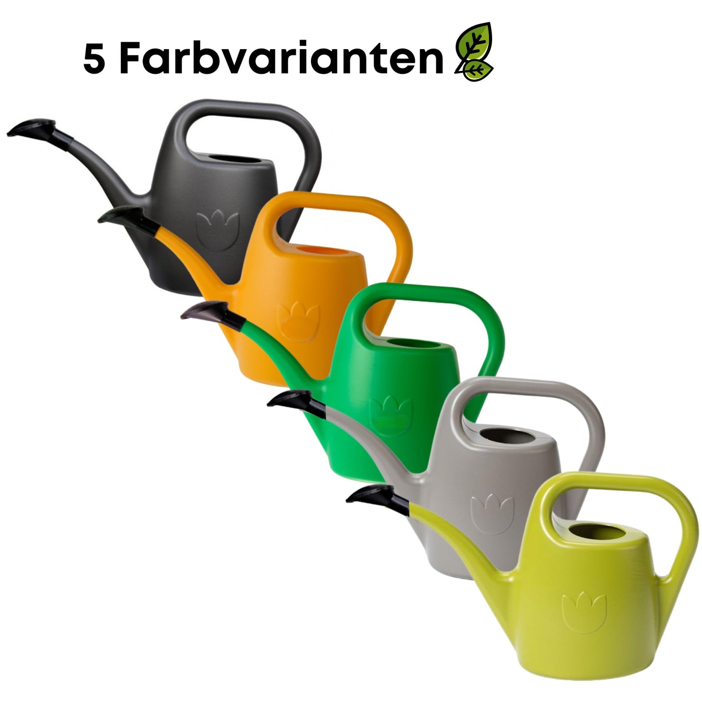 Plastia Gartengießkanne mit dem Brausekopf, 2L - Gießkanne aus Hochwertigem Kunststoff - Handliche Giesskanne für Innen- und Außenbereich - Ideal für Bewässerung für Zimmerpflanzen (Anthrazit)