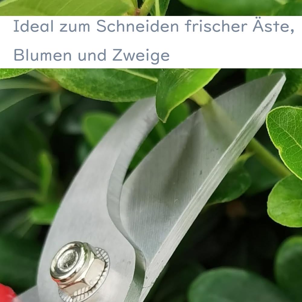 Jütze® Gartenschere für Sträucher und Blumen mit Rutschfester Griff & Edelstahl-Klinge, Leicht & Ergonomisch Rosenschere, Sicher mit Klingensperre, Beidhändig bedienbar, Länge 19cm