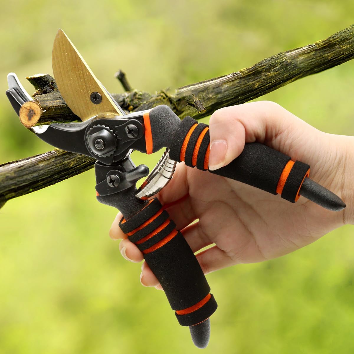 Professionelle Titan Gartenschere, Gartenschere, Gartenschere, Bypass-Schere, Gartenschere, Gartenschere Geschenk für Zweige, Hecken und Blumen