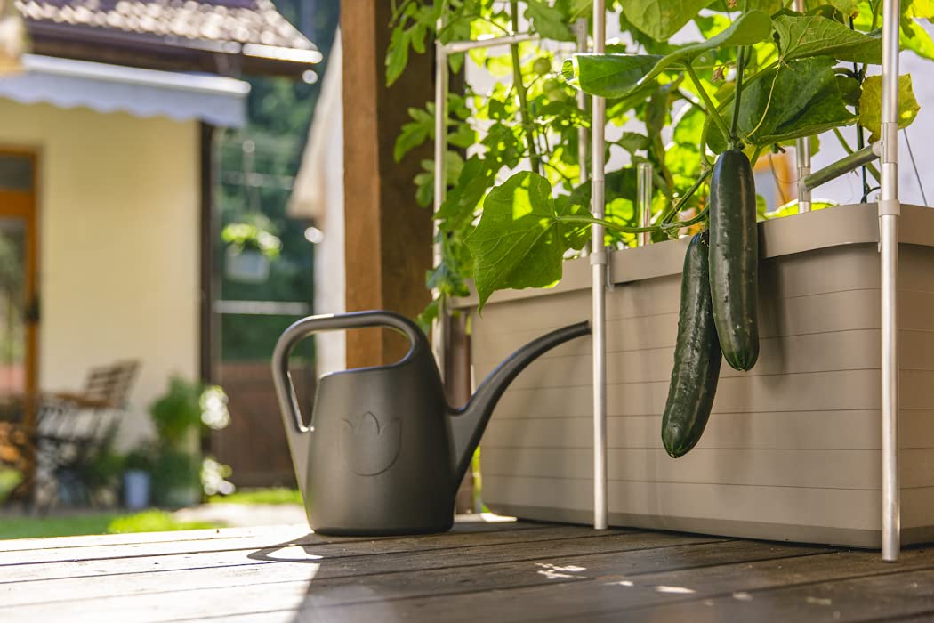 Plastia Gartengießkanne mit dem Brausekopf, 2L - Gießkanne aus Hochwertigem Kunststoff - Handliche Giesskanne für Innen- und Außenbereich - Ideal für Bewässerung für Zimmerpflanzen (Anthrazit)