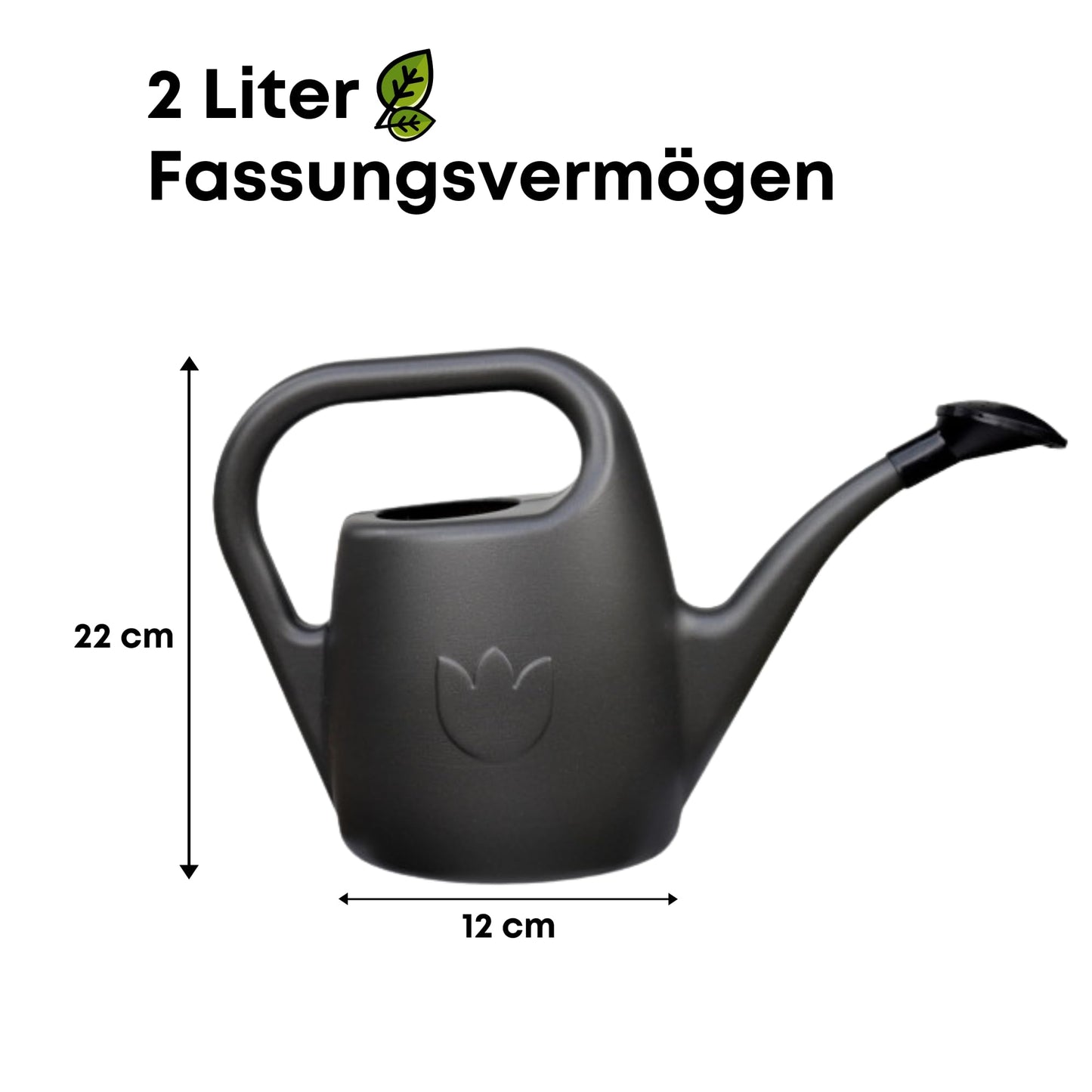 Plastia Gartengießkanne mit dem Brausekopf, 2L - Gießkanne aus Hochwertigem Kunststoff - Handliche Giesskanne für Innen- und Außenbereich - Ideal für Bewässerung für Zimmerpflanzen (Anthrazit)