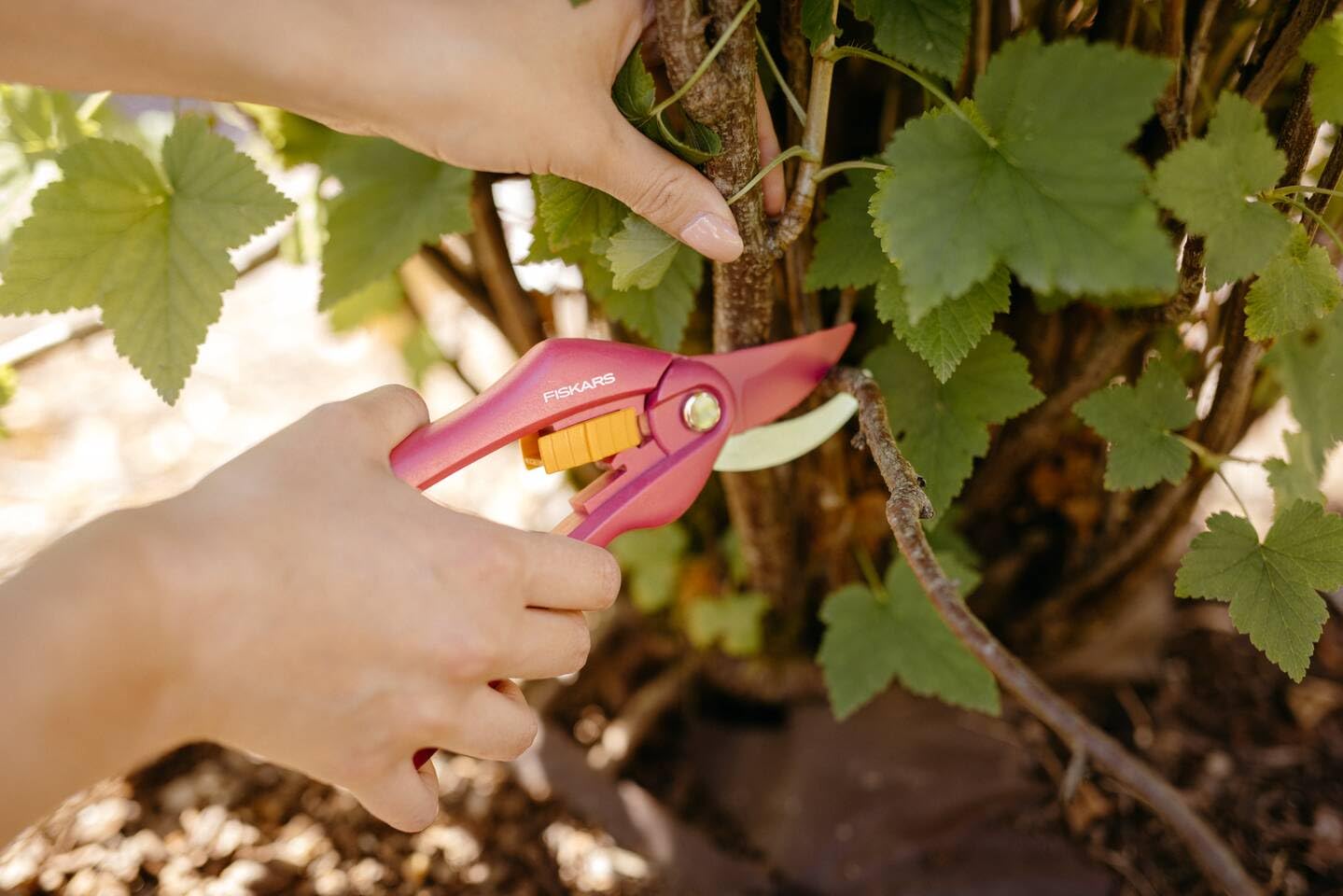 Fiskars Bypass-Gartenschere für frische Äste und Zweige, Antihaftbeschichtet, Hochwertige Stahl-Klingen, Länge: 20 cm, Schwarz/Orange, SingleStep