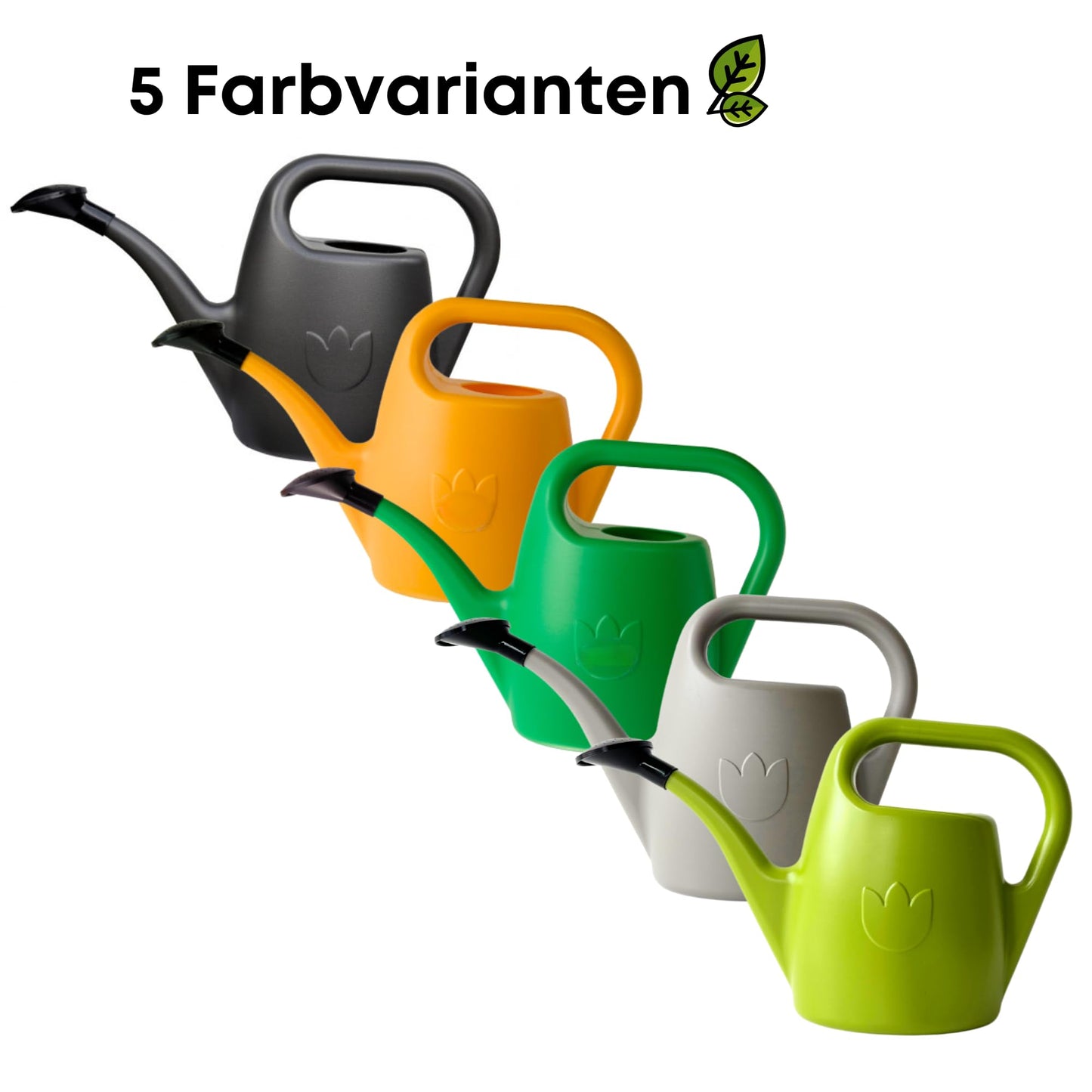Plastia Gartengießkanne mit dem Brausekopf, 2L - Gießkanne aus Hochwertigem Kunststoff - Handliche Giesskanne für Innen- und Außenbereich - Ideal für Bewässerung für Zimmerpflanzen (Anthrazit)