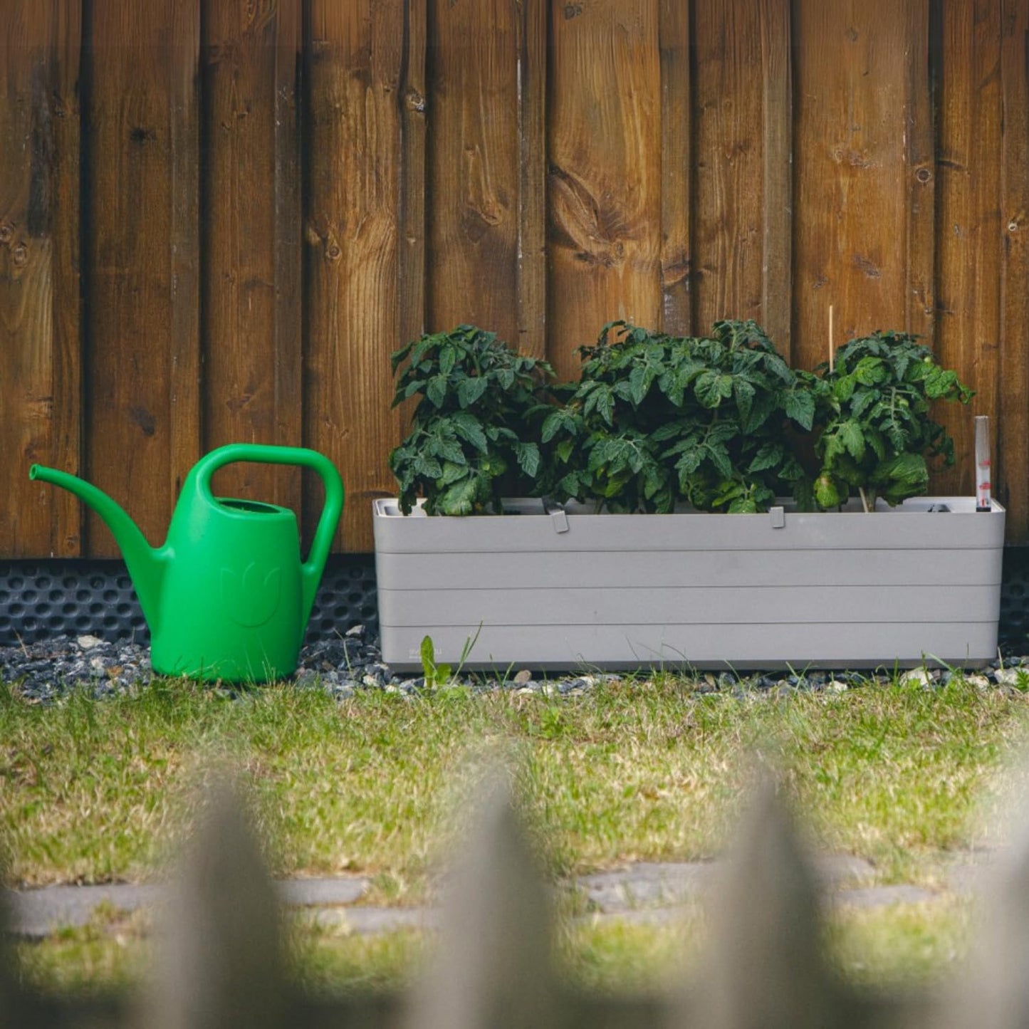 Plastia Gartengießkanne mit dem Brausekopf, 2L - Gießkanne aus Hochwertigem Kunststoff - Handliche Giesskanne für Innen- und Außenbereich - Ideal für Bewässerung für Zimmerpflanzen (Anthrazit)