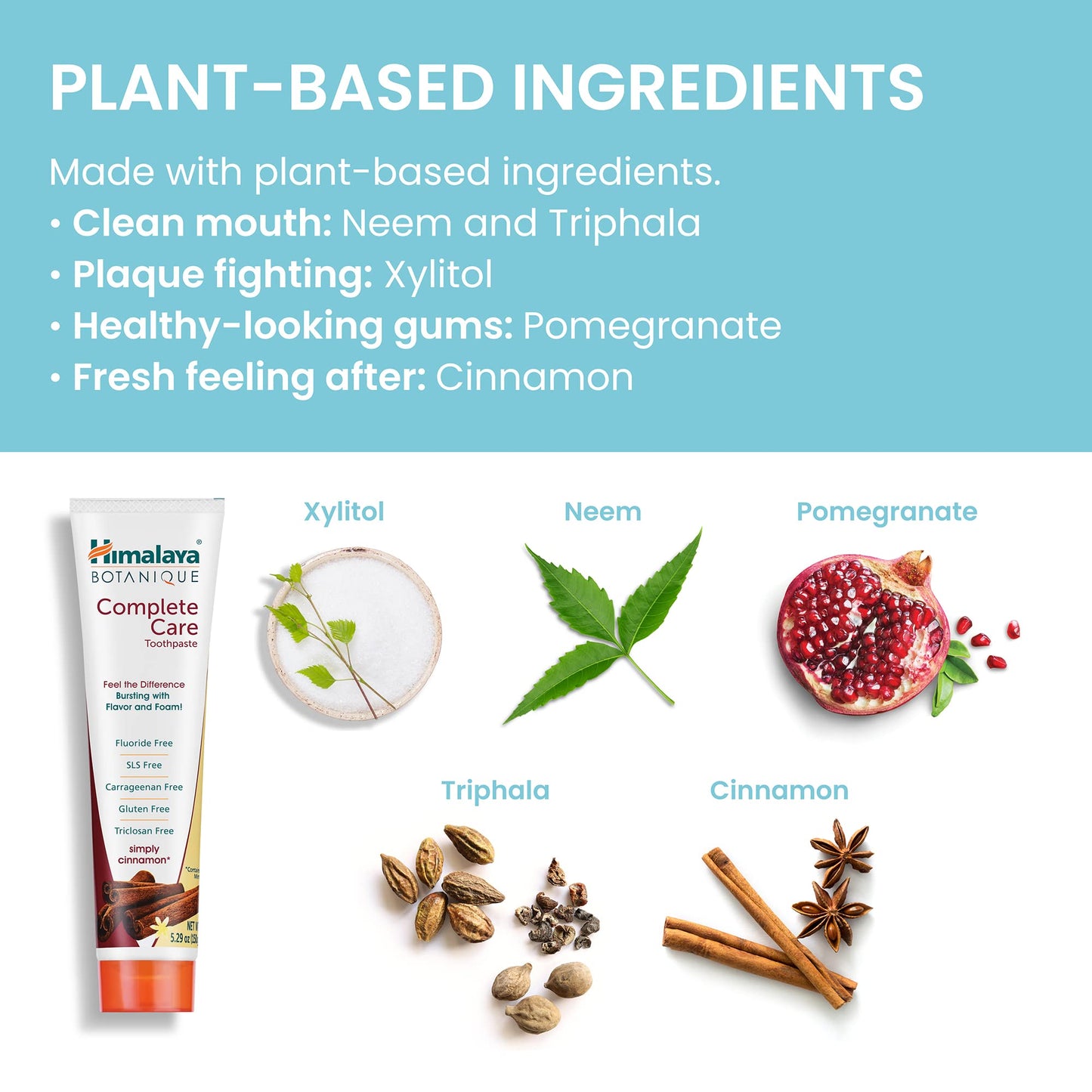 Himalaya Botanique Simply Mint Complete Care Toothpaste Refreshing Mint Flavour | Strong Teeth | Healthy Gums | Fresh Breath - 150g