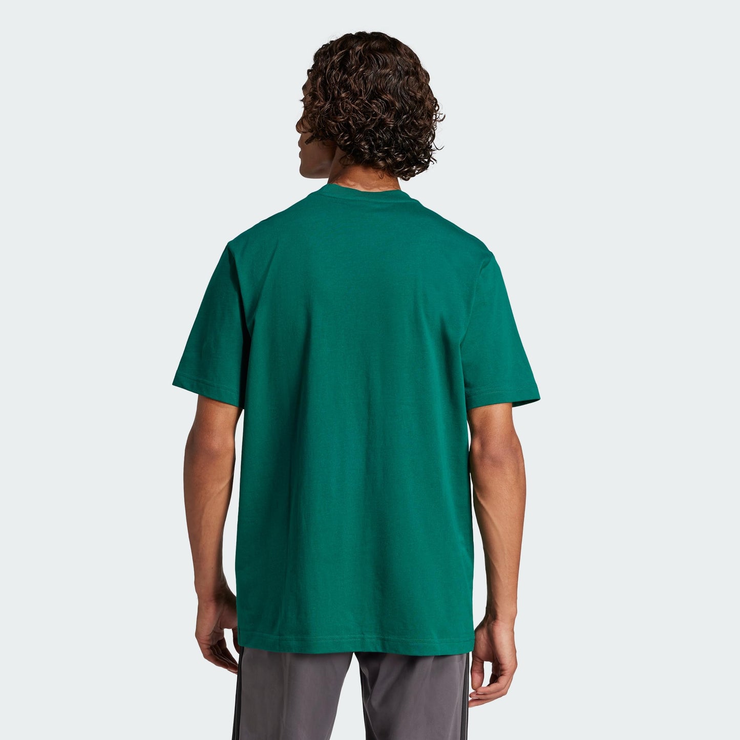 adidas Men's Essentials Small Logo Single T-Shirt