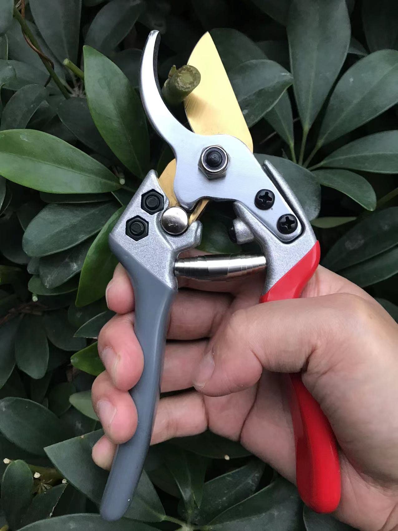 Horsvill Gartenschere, Gartenschere für die Gartenarbeit Heavy Duty, Japanische Gartenschere mit SK4-Stahl, Gartenschere für den Außenbereich, Bypass-Gartenschere, Heckenschere, Baumtrimmer (Grün)