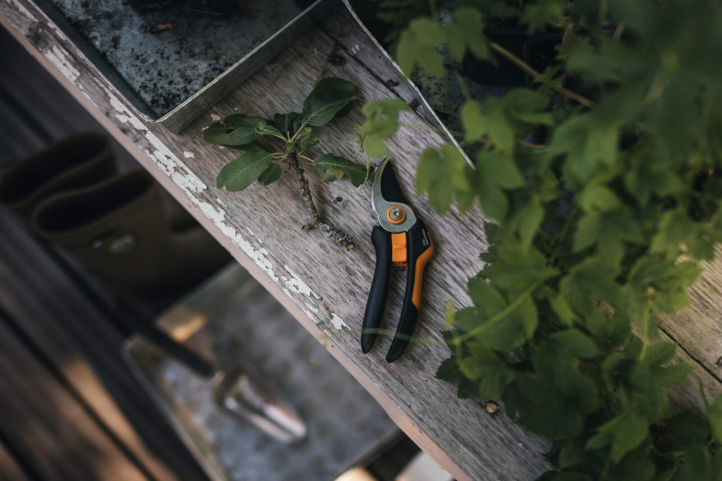 Fiskars Bypass-Gartenschere für frische Äste und Zweige, Antihaftbeschichtet, Hochwertige Stahl-Klingen, Länge: 20 cm, Schwarz/Orange, SingleStep