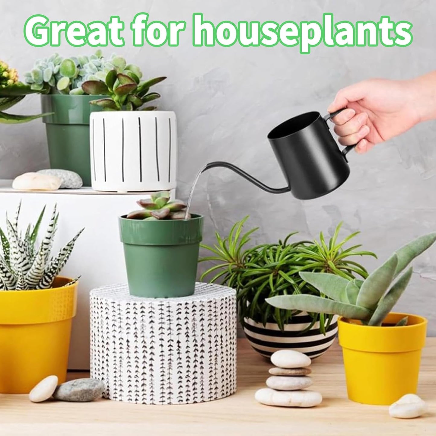NCCHDZSW Gießkanne Klein Zimmerpflanzen 250 ML Mini Gießkanne Schwarz Edelstahl Garten Gießkanne Rostfrei Klein Gießkanne für Zimmerpflanzen Sukkulenten