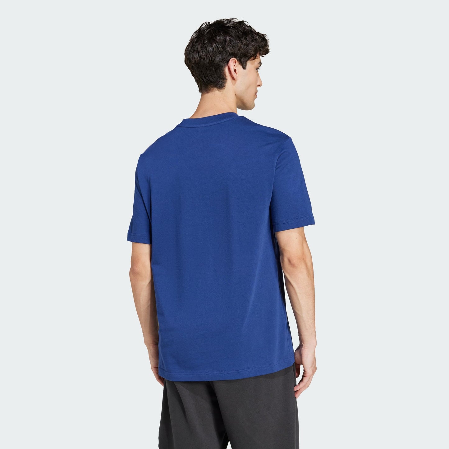 adidas Men's Essentials Small Logo Single T-Shirt