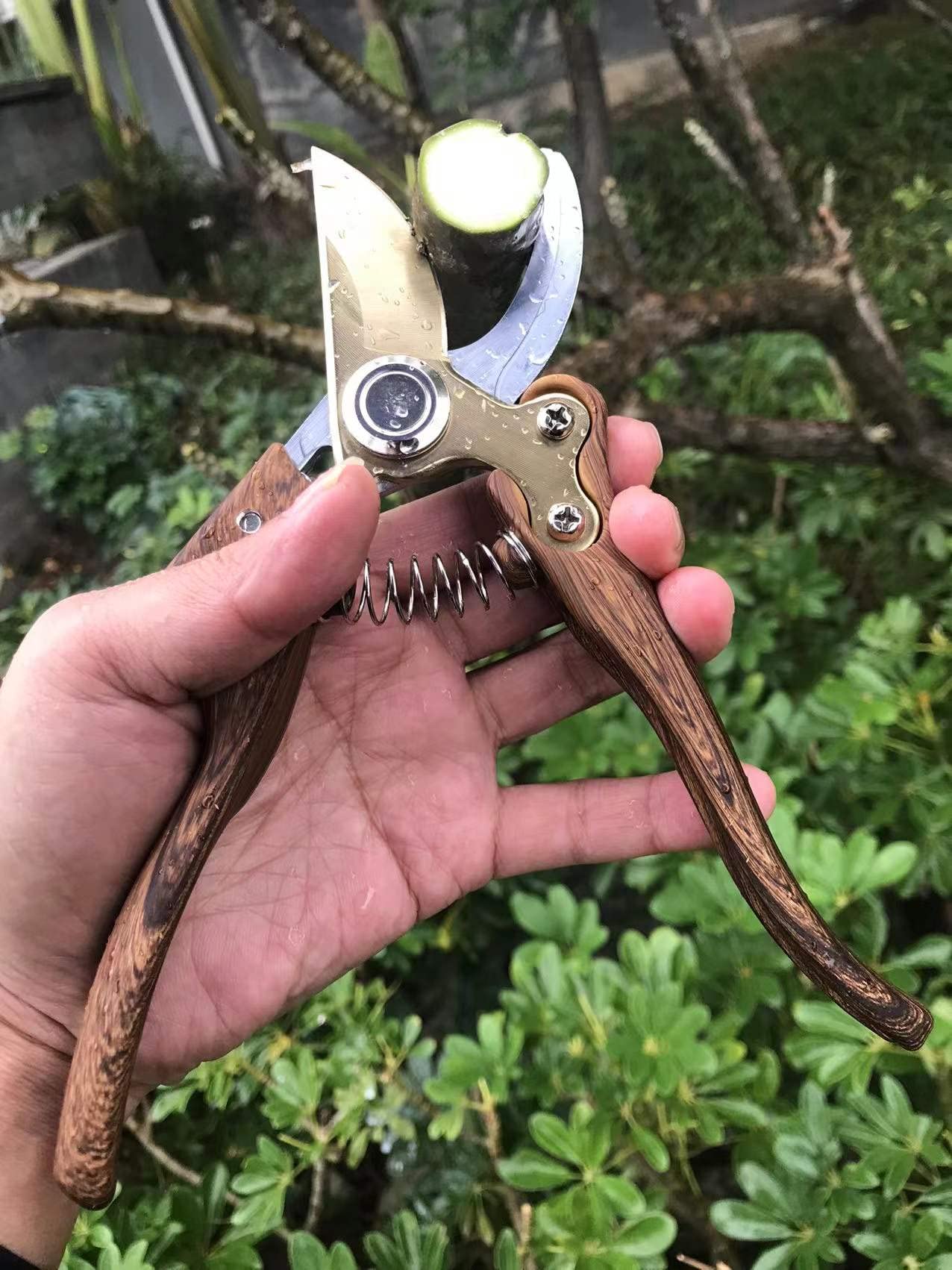 Horsvill Gartenschere, Gartenschere für die Gartenarbeit Heavy Duty, Japanische Gartenschere mit SK4-Stahl, Gartenschere für den Außenbereich, Bypass-Gartenschere, Heckenschere, Baumtrimmer (Grün)