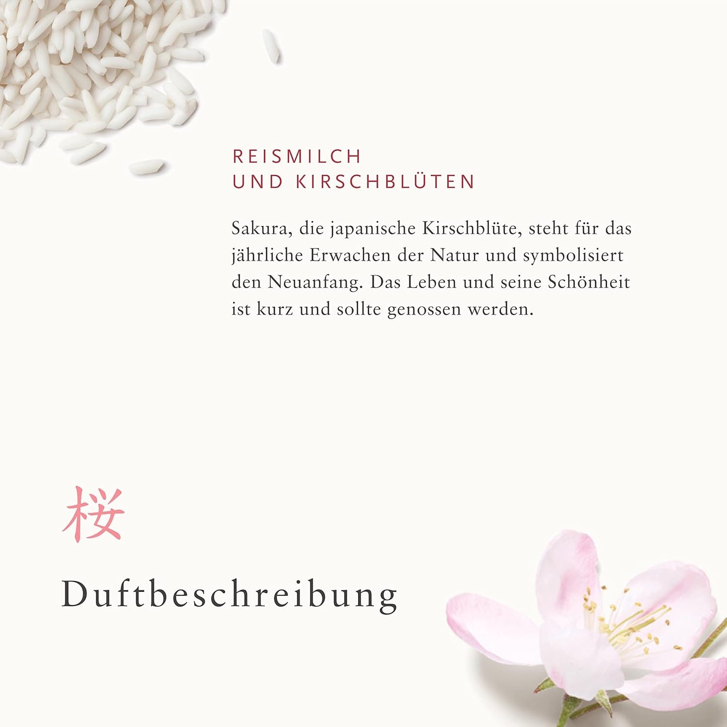 RITUALS Gift Set for Women The Ritual of Sakura (Sample Size) Nourishing & Skin-Renewing Care with Rice Milk & Cherry Blossom