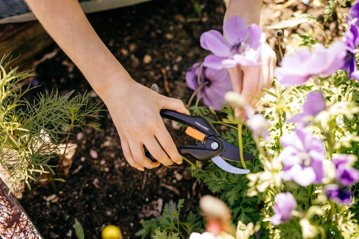 Fiskars Bypass-Gartenschere für frische Äste und Zweige, Antihaftbeschichtet, Hochwertige Stahl-Klingen, Länge: 20 cm, Schwarz/Orange, SingleStep