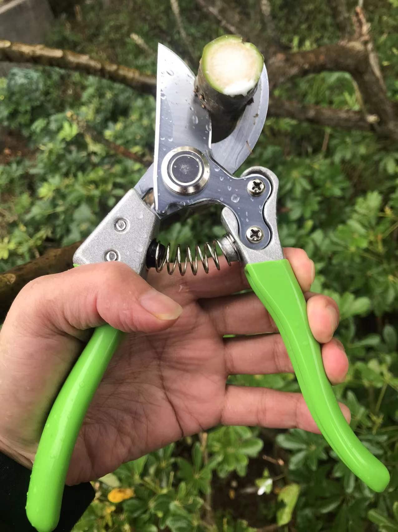 Horsvill Gartenschere, Gartenschere für die Gartenarbeit Heavy Duty, Japanische Gartenschere mit SK4-Stahl, Gartenschere für den Außenbereich, Bypass-Gartenschere, Heckenschere, Baumtrimmer (Grün)