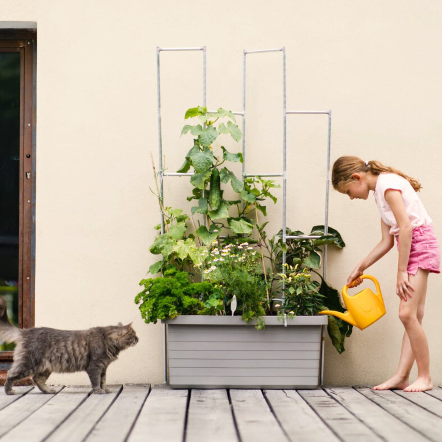 Plastia Gartengießkanne mit dem Brausekopf, 2L - Gießkanne aus Hochwertigem Kunststoff - Handliche Giesskanne für Innen- und Außenbereich - Ideal für Bewässerung für Zimmerpflanzen (Anthrazit)