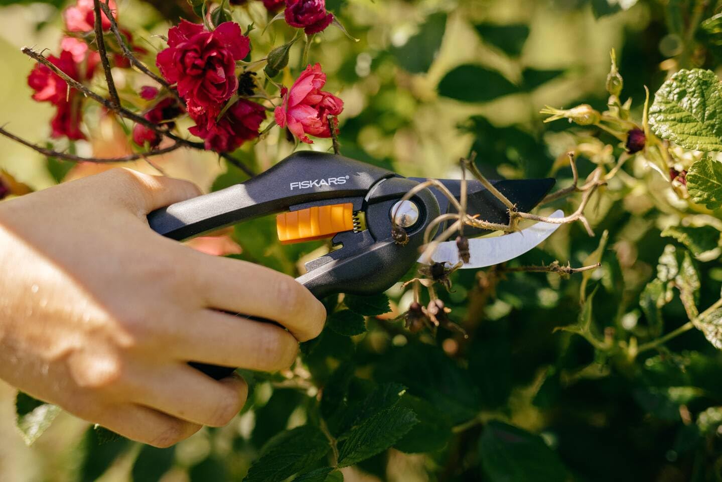 Fiskars Bypass-Gartenschere für frische Äste und Zweige, Antihaftbeschichtet, Hochwertige Stahl-Klingen, Länge: 20 cm, Schwarz/Orange, SingleStep