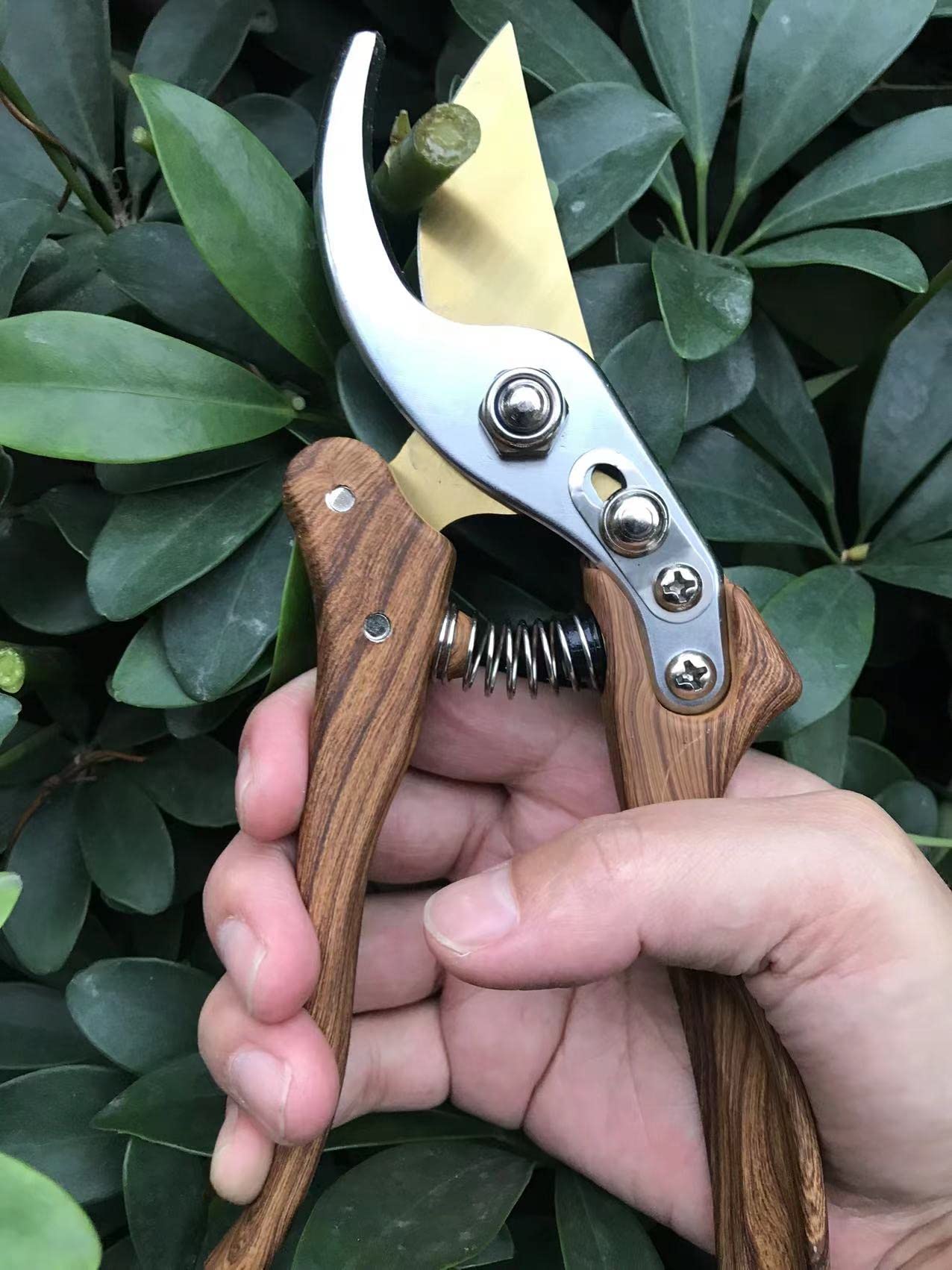 Horsvill Gartenschere, Gartenschere für die Gartenarbeit Heavy Duty, Japanische Gartenschere mit SK4-Stahl, Gartenschere für den Außenbereich, Bypass-Gartenschere, Heckenschere, Baumtrimmer (Grün)