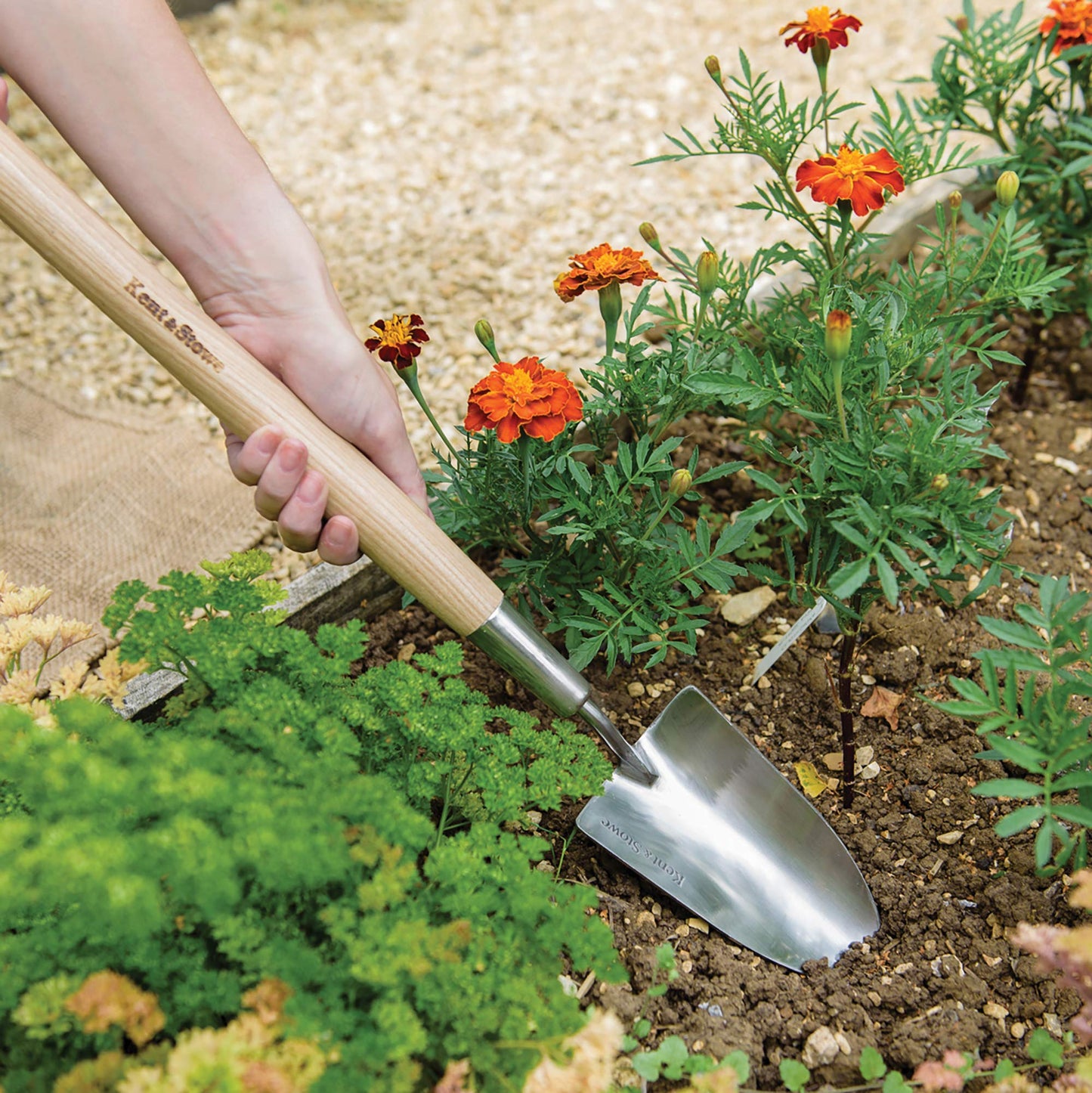 Kent & Stowe Handschaufel lang – Blumen-Kelle aus Edelstahl zum Pflanzen in Hochbeeten, Pflanzschaufel mit Griff aus Eschenholz, Länge: 60 cm