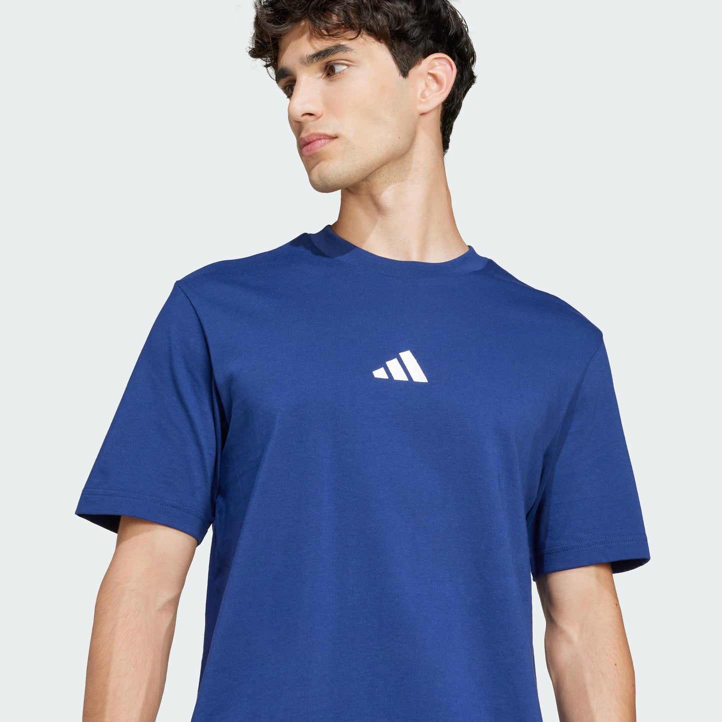 adidas Men's Essentials Small Logo Single T-Shirt