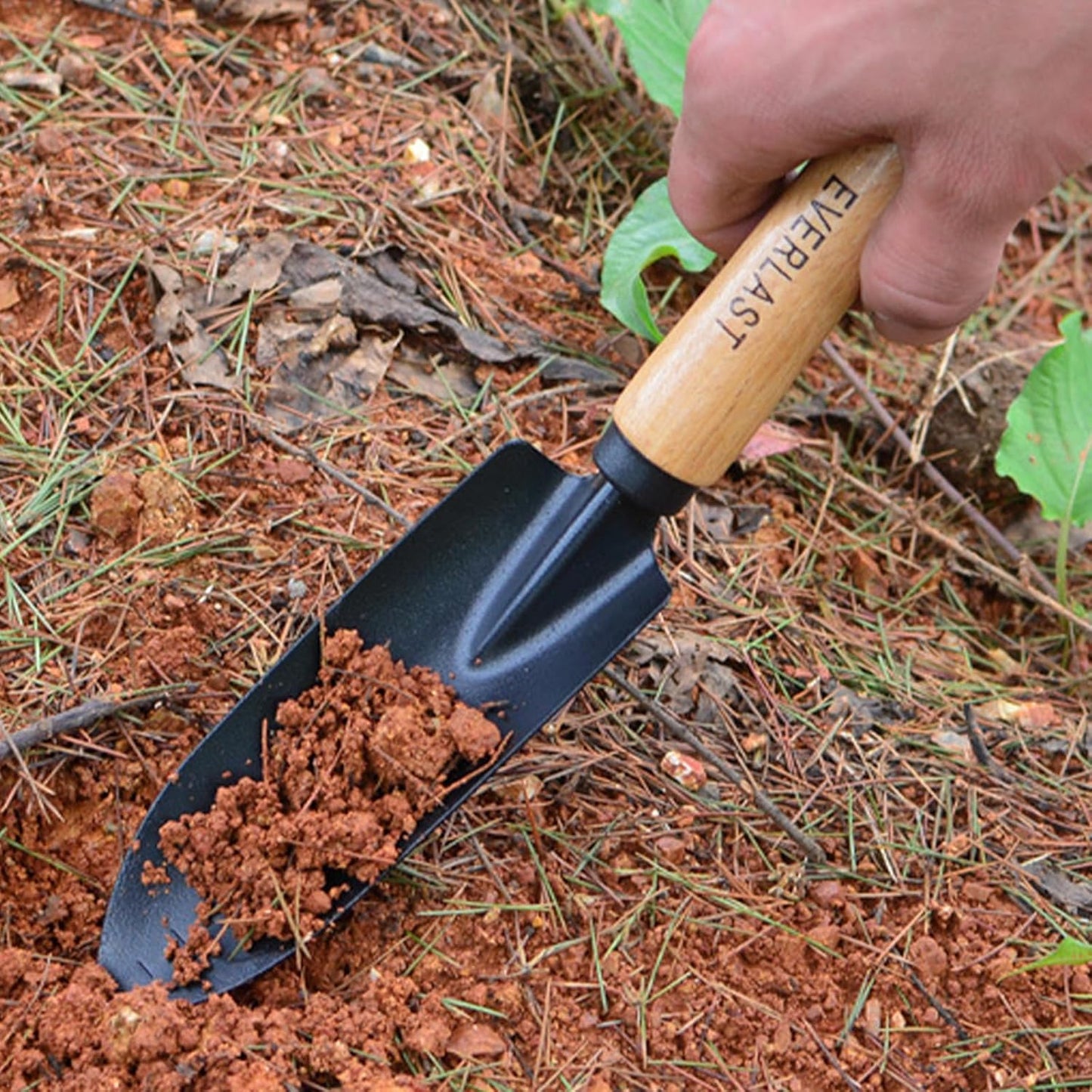 2 Stück Edelstahl Blumenkelle Garden Gartenschaufel Kinder Metall Garten Schaufel Haushalt Graben Rasenkelle Schaufel Handwerkzeug, Mini Garten Schaufeln, Schwarz