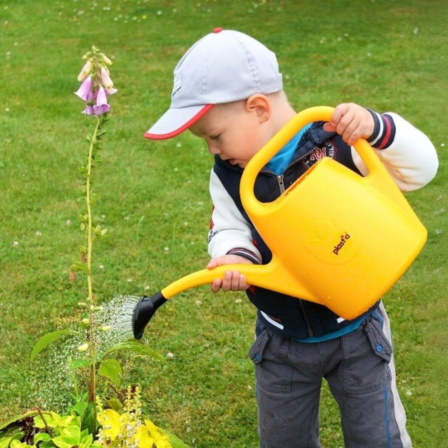 Plastia Gartengießkanne mit dem Brausekopf, 2L - Gießkanne aus Hochwertigem Kunststoff - Handliche Giesskanne für Innen- und Außenbereich - Ideal für Bewässerung für Zimmerpflanzen (Anthrazit)