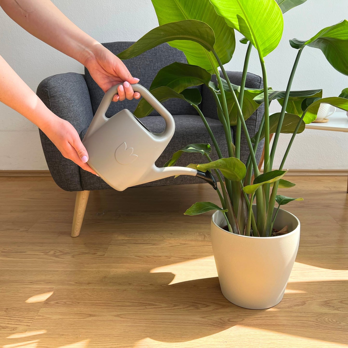 Plastia Gartengießkanne mit dem Brausekopf, 2L - Gießkanne aus Hochwertigem Kunststoff - Handliche Giesskanne für Innen- und Außenbereich - Ideal für Bewässerung für Zimmerpflanzen (Anthrazit)