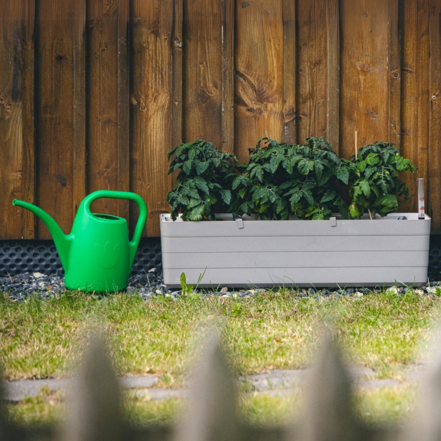 Plastia Gartengießkanne mit dem Brausekopf, 2L - Gießkanne aus Hochwertigem Kunststoff - Handliche Giesskanne für Innen- und Außenbereich - Ideal für Bewässerung für Zimmerpflanzen (Anthrazit)