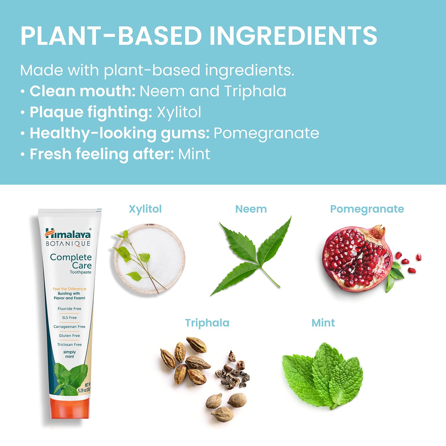 Himalaya Botanique Simply Mint Complete Care Toothpaste Refreshing Mint Flavour | Strong Teeth | Healthy Gums | Fresh Breath - 150g