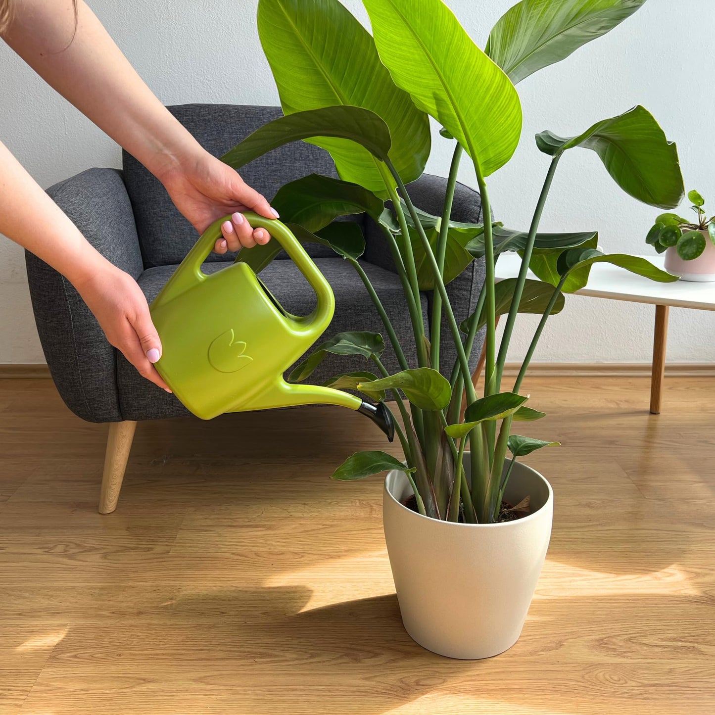 Plastia Gartengießkanne mit dem Brausekopf, 2L - Gießkanne aus Hochwertigem Kunststoff - Handliche Giesskanne für Innen- und Außenbereich - Ideal für Bewässerung für Zimmerpflanzen (Anthrazit)