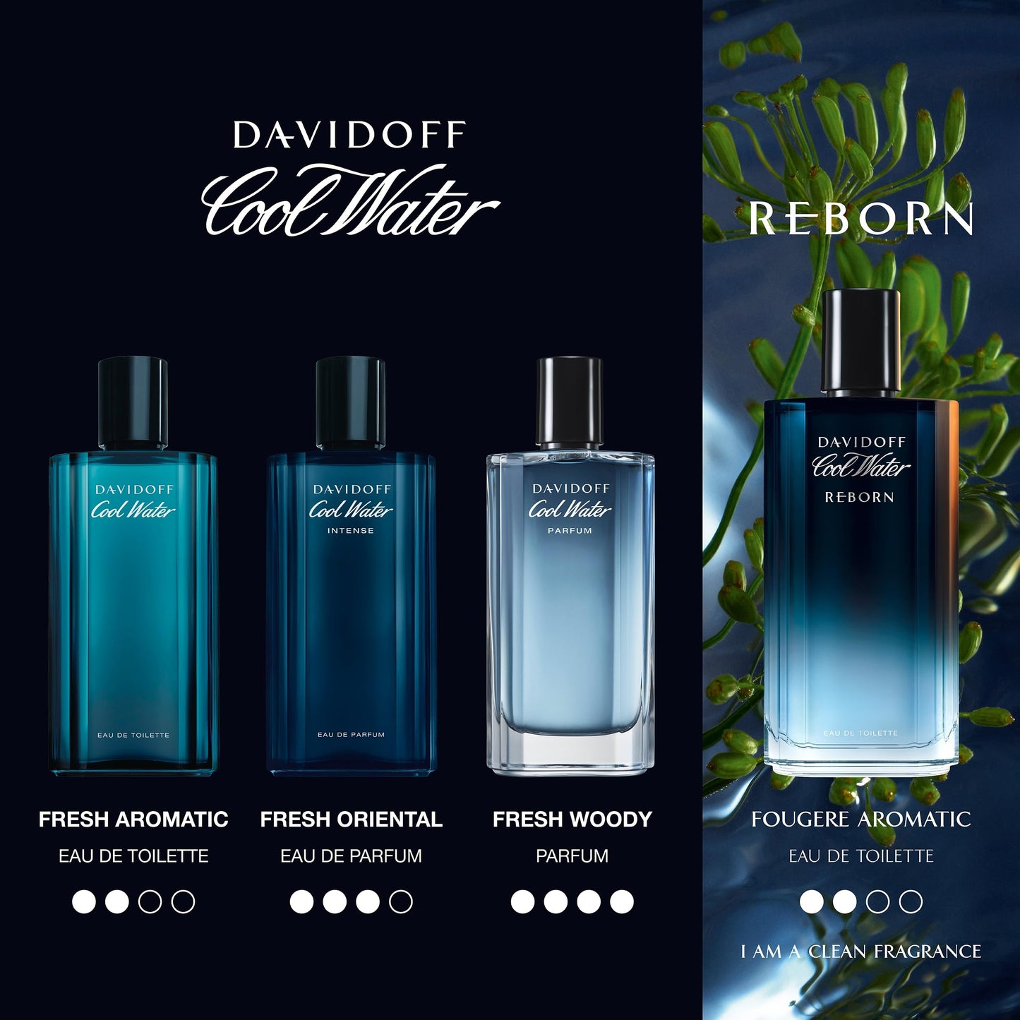Davidoff Cool Water Intense Eau de Parfum Man