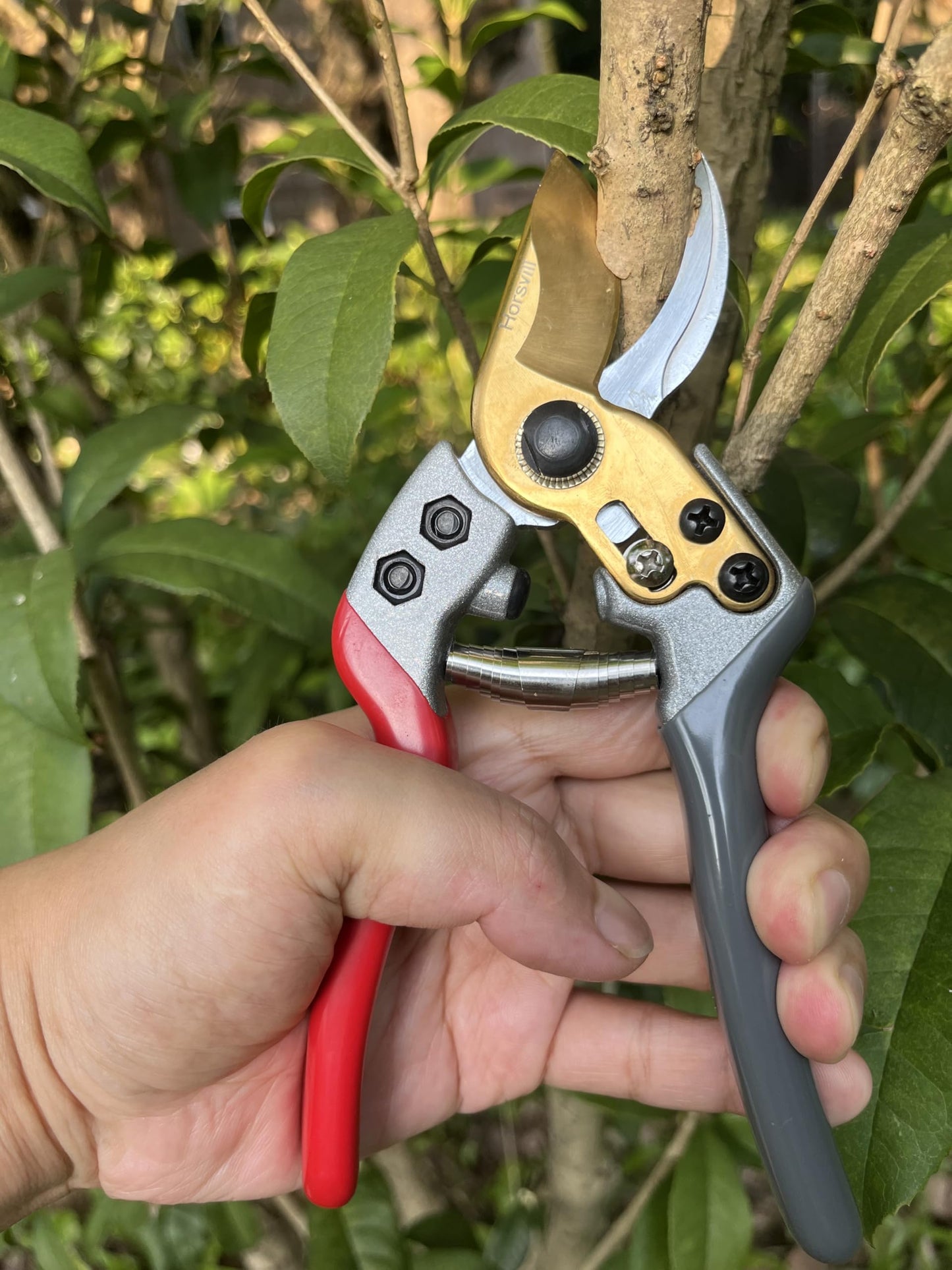 Horsvill Gartenschere, Gartenschere für die Gartenarbeit Heavy Duty, Japanische Gartenschere mit SK4-Stahl, Gartenschere für den Außenbereich, Bypass-Gartenschere, Heckenschere, Baumtrimmer (Grün)