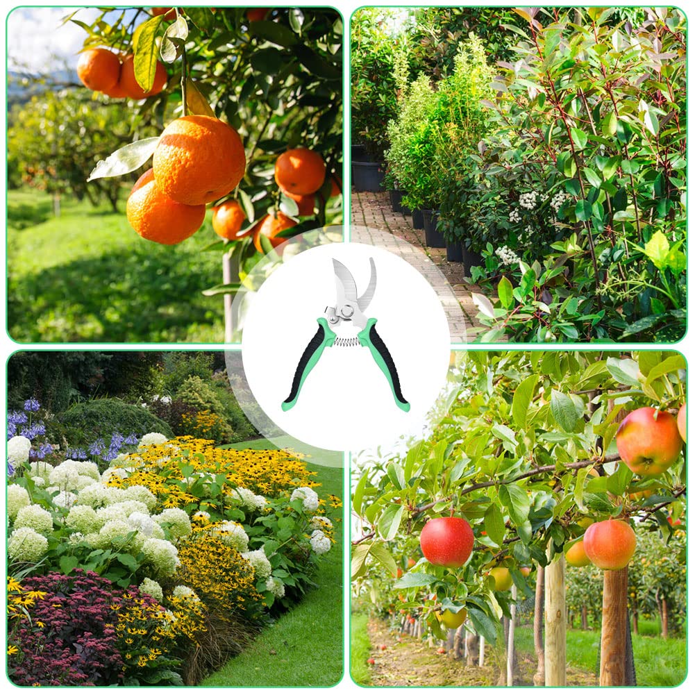OFFCUP Gartenschere, Bypass Baumschere Bequeme, Stahl-klingen Blumenschere Und Ein Paar Grüne Handschuhe, Antihaftbeschichtet Rebschere, Edelstahl-klingen Rosenschere Für Frische Äste Und Zweige