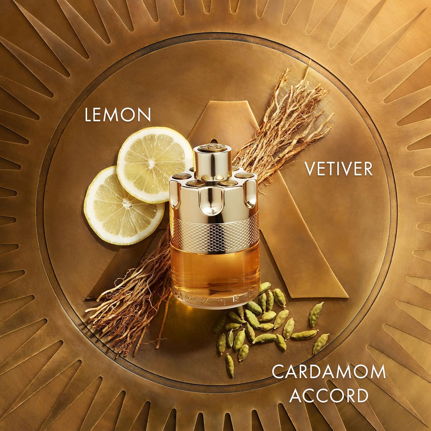 Azzaro Wanted Perfume for Men, Eau de Toilette Spray, Long-Lasting, Woody Spicy Men's Fragrance, 100 ml