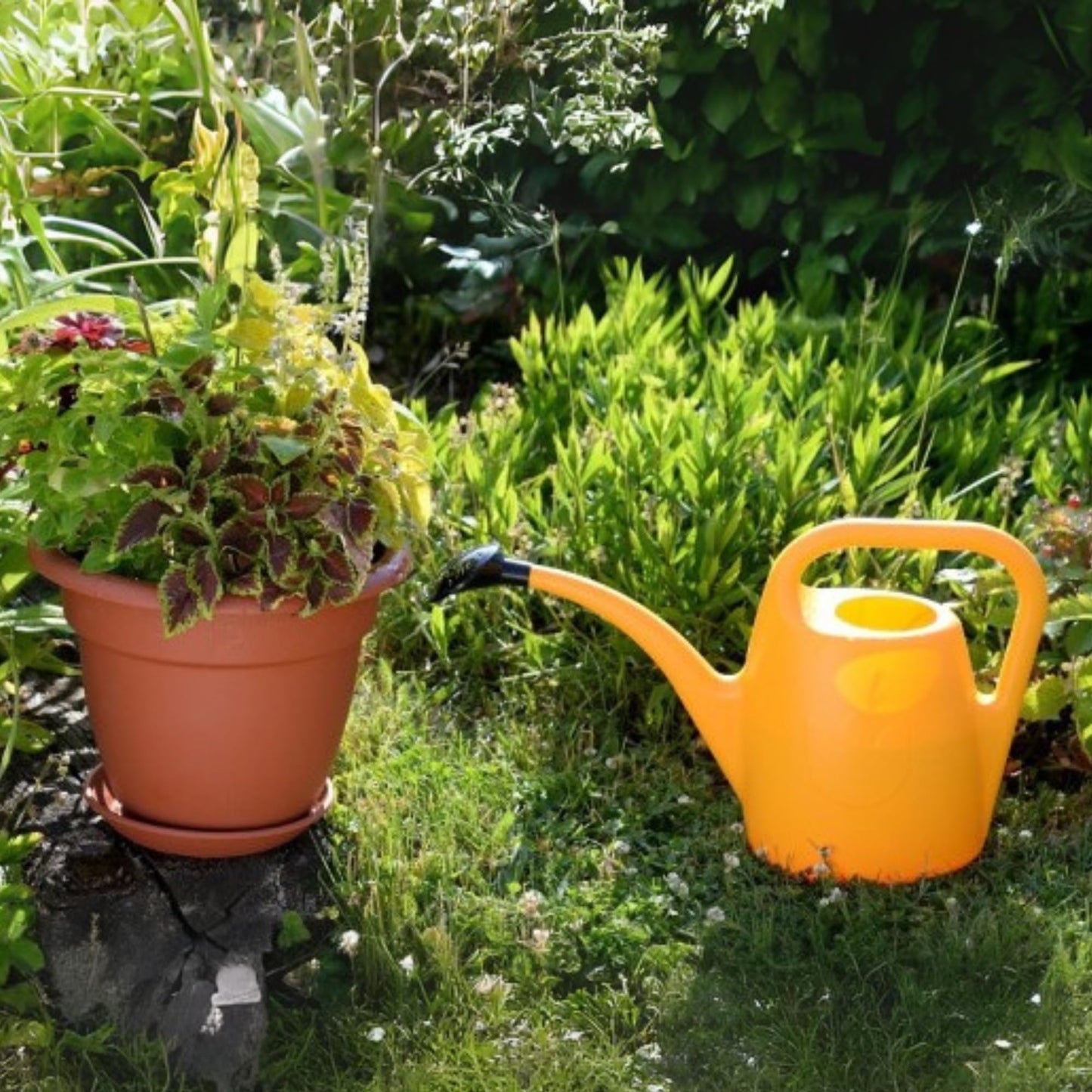Plastia Gartengießkanne mit dem Brausekopf, 2L - Gießkanne aus Hochwertigem Kunststoff - Handliche Giesskanne für Innen- und Außenbereich - Ideal für Bewässerung für Zimmerpflanzen (Anthrazit)