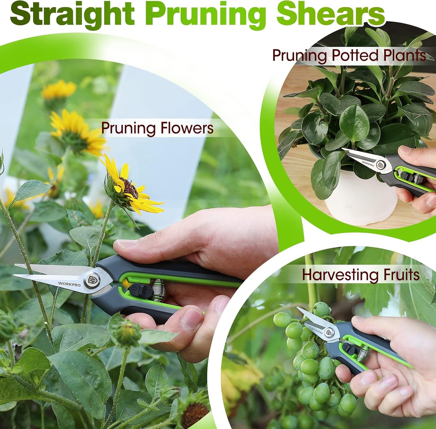 WORKPRO Gartenschere Set 2-tlg, 210mm SK5 Bypass Astschere für frische Zweige, 160mm Ernteschere Pflückschere für Blume und Frucht, Pflanzenschere Baumschere Rosenschere Blumenschere für Gartenarbeit